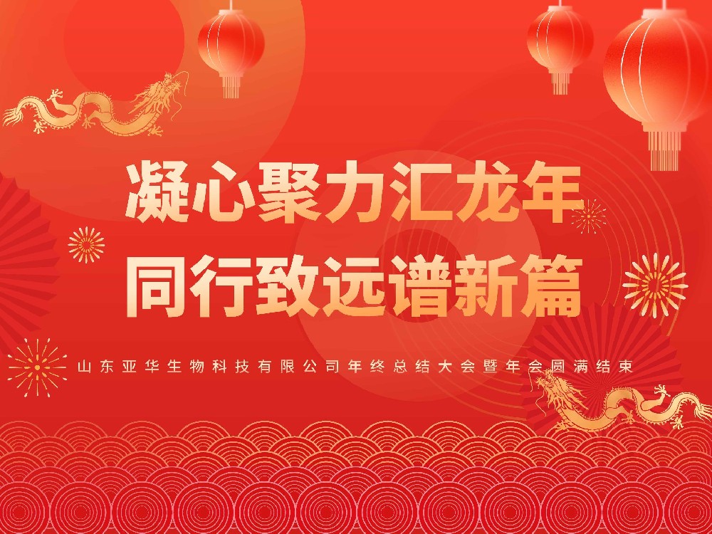 凝心聚力匯龍年 同行致遠譜新篇——山東亞華生物科技有限公司年終總結大會暨年會圓滿結束